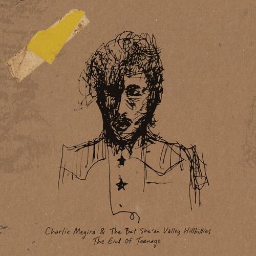 End of Teenage - Vinyl LP