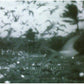 Mare's Tail - Vinyl LP