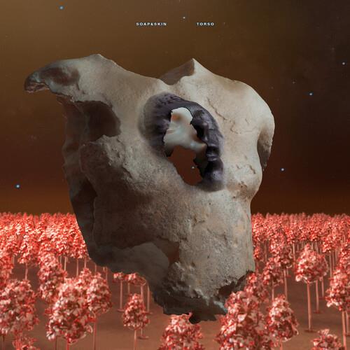 Torso - Vinyl LP