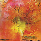 Motherhood - Vinyl LP