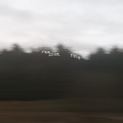 Field - Vinyl LP