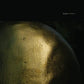 Gardenia - Vinyl LP