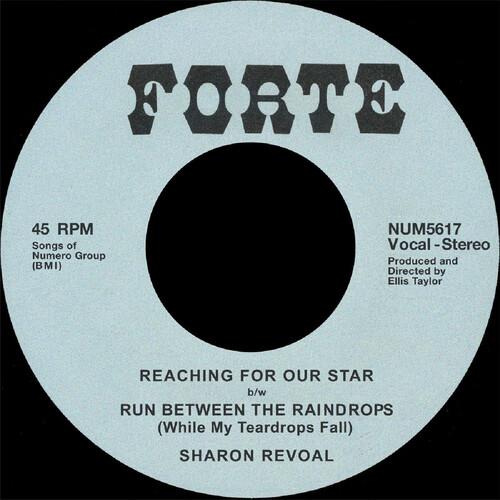 Reaching for Our Star B/W Run Between the Raindrops - Beige - Vinyl LP
