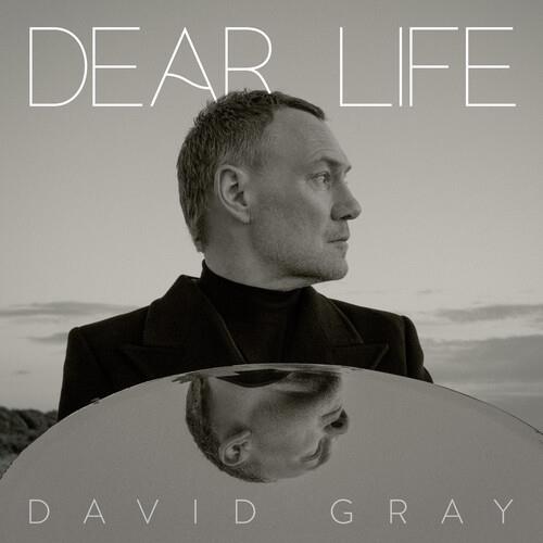 Dear Life - Vinyl LP