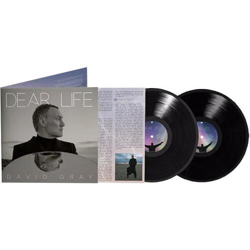 Dear Life - Vinyl LP