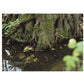Imena Rek - Vinyl LP