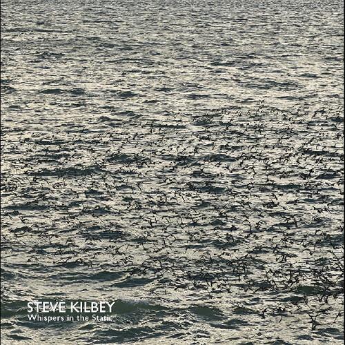 Whispers In The Static - Vinyl LP (Gray)