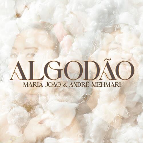 Algodao - Vinyl LP