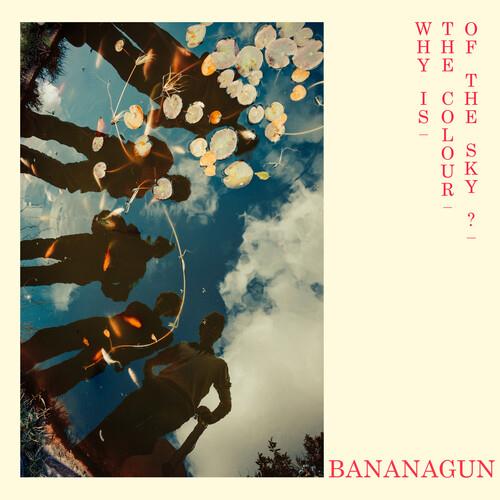 Why Is The Colour Of The Sky? - Vinyl LP