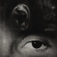Petrichor - Vinyl LP