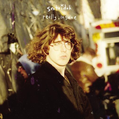 Really Insane : A Lou Barlow Compendium - Vinyl LP