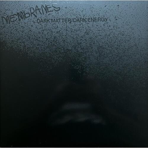 Dark Matter/Dark Energy - Vinyl LP