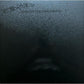 Dark Matter/Dark Energy - Vinyl LP