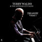 Treasury Volume 1 - Vinyl LP