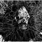 War Under Glass - 7-Inch Single