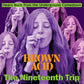 Brown Acid - The Nineteenth Trip (Various Artists) - Vinyl LP