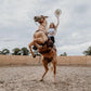 Emotional Rodeo - Vinyl LP