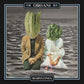 Babylonia - Vinyl LP
