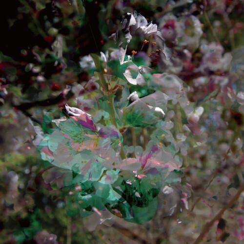 Shiminkai - Vinyl LP