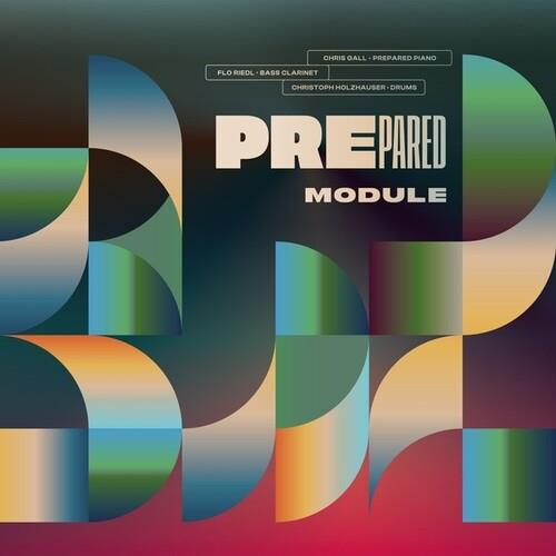 Module - Vinyl LP