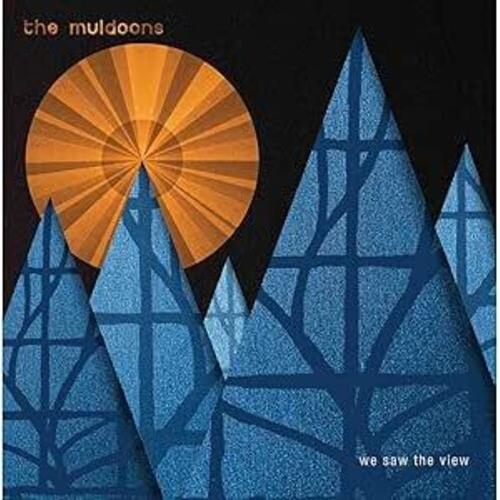 We Saw The View - Vinyl LP