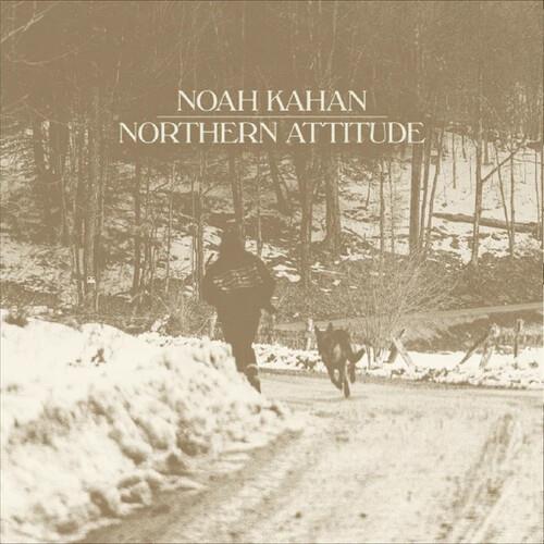 Northern Attitude - Black Ice Colored Vinyl with Poster - 7-Inch Single (Black)