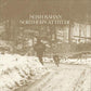 Northern Attitude - Black Ice Colored Vinyl with Poster - 7-Inch Single (Black)