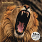 Head First - 50th Anniversary Special Edition - Vinyl LP