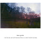 i will be my own hell because there is a devil inside my body - Vinyl LP