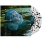 Split - Black & White Splatter - 7-Inch Single (Black/White)