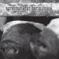 Flowers In The Spring - Vinyl LP (Pink)