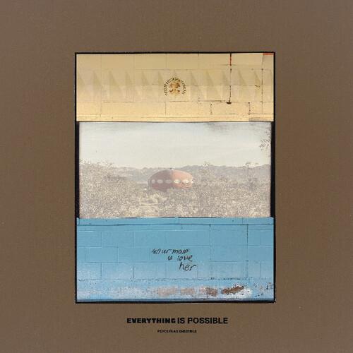 Everything Is Possible - Vinyl LP