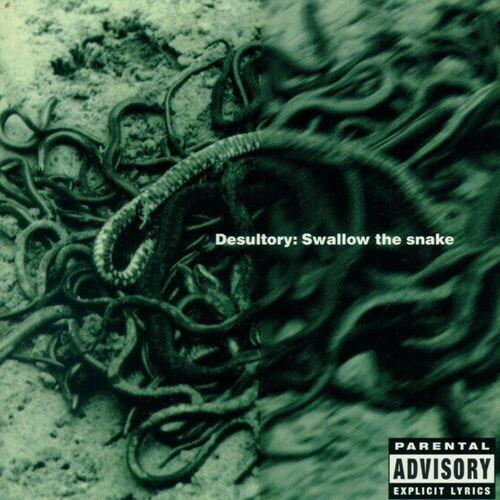 Swallow The Snake - 3mm Spinned Sleeve - Vinyl LP