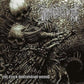 The Extra Dimensional Wound - Vinyl LP