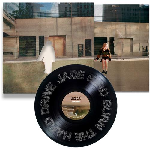 Burn The Hard Drive - Vinyl LP