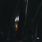 Liminal States - Vinyl LP