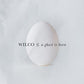 A Ghost Is Born - Vinyl LP