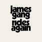 James Gang Rides Again - Vinyl LP