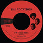 I'm Still Here B/W What More Can I Say - 7-Inch Single
