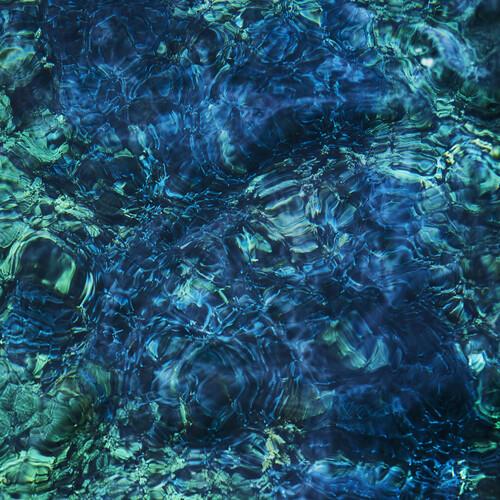 Luminescent Creatures - Vinyl LP