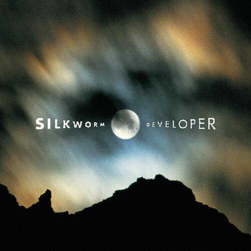 Developer - Deluxe Edition Vinyl LP