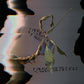 Trill Scan - Vinyl LP