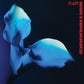 Birthmarks - Blue - Vinyl LP