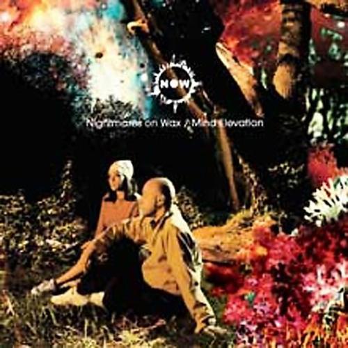 Mind Elevation - Vinyl LP