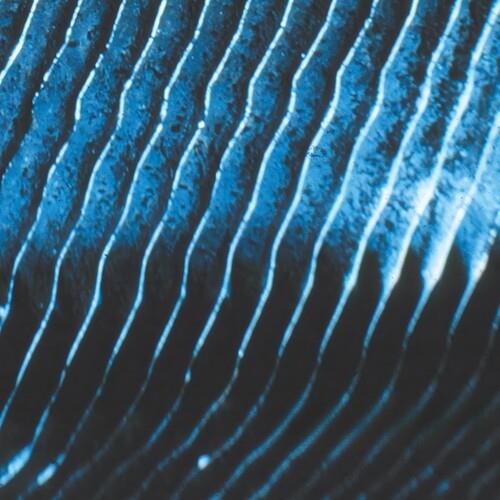 Gravity - Vinyl LP