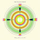 For Translucence - Vinyl LP