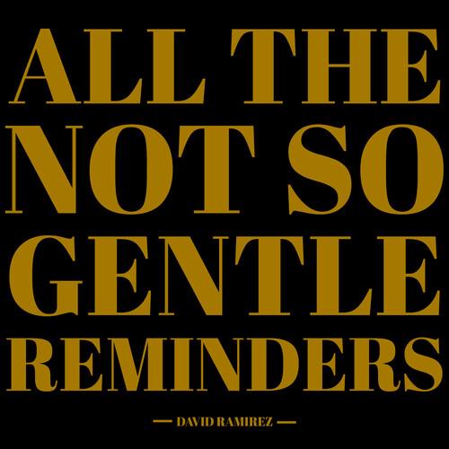 All The Not So Gentle Reminders - Vinyl LP
