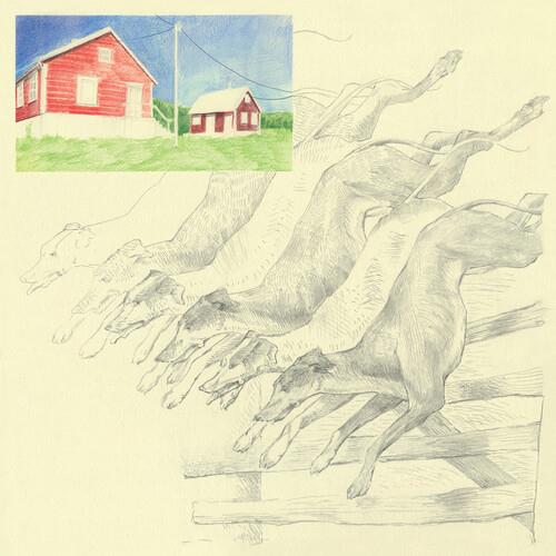 I Heard That Noise - Green - Vinyl LP (Green)