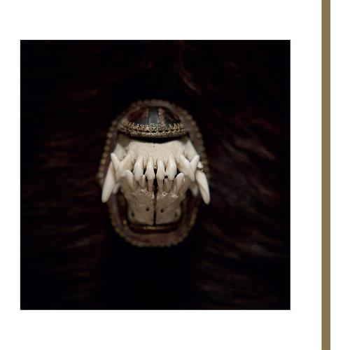 De Toorn - Vinyl LP