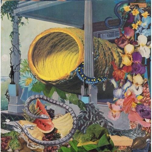 Pruning - Vinyl LP